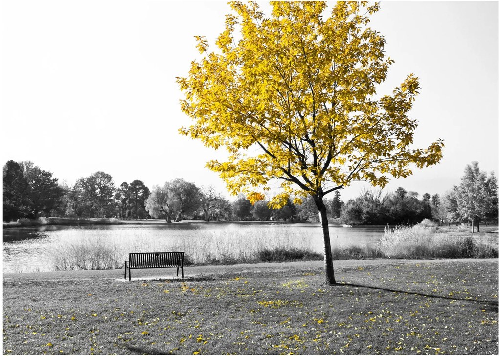 Obraz na szkle - Odpoczynek w parku (70x50 cm)