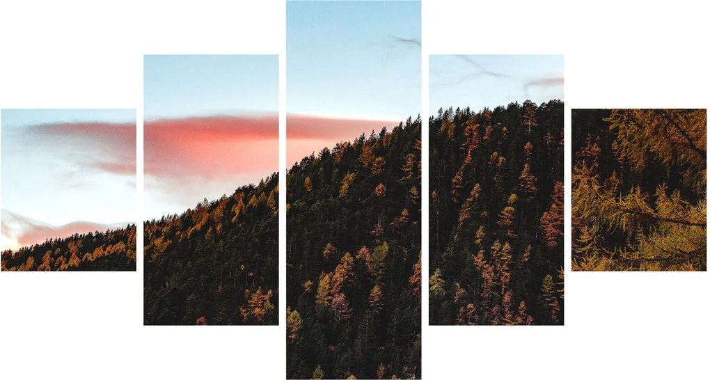 Obraz rudzików nad wzgórzem (125x70 cm)