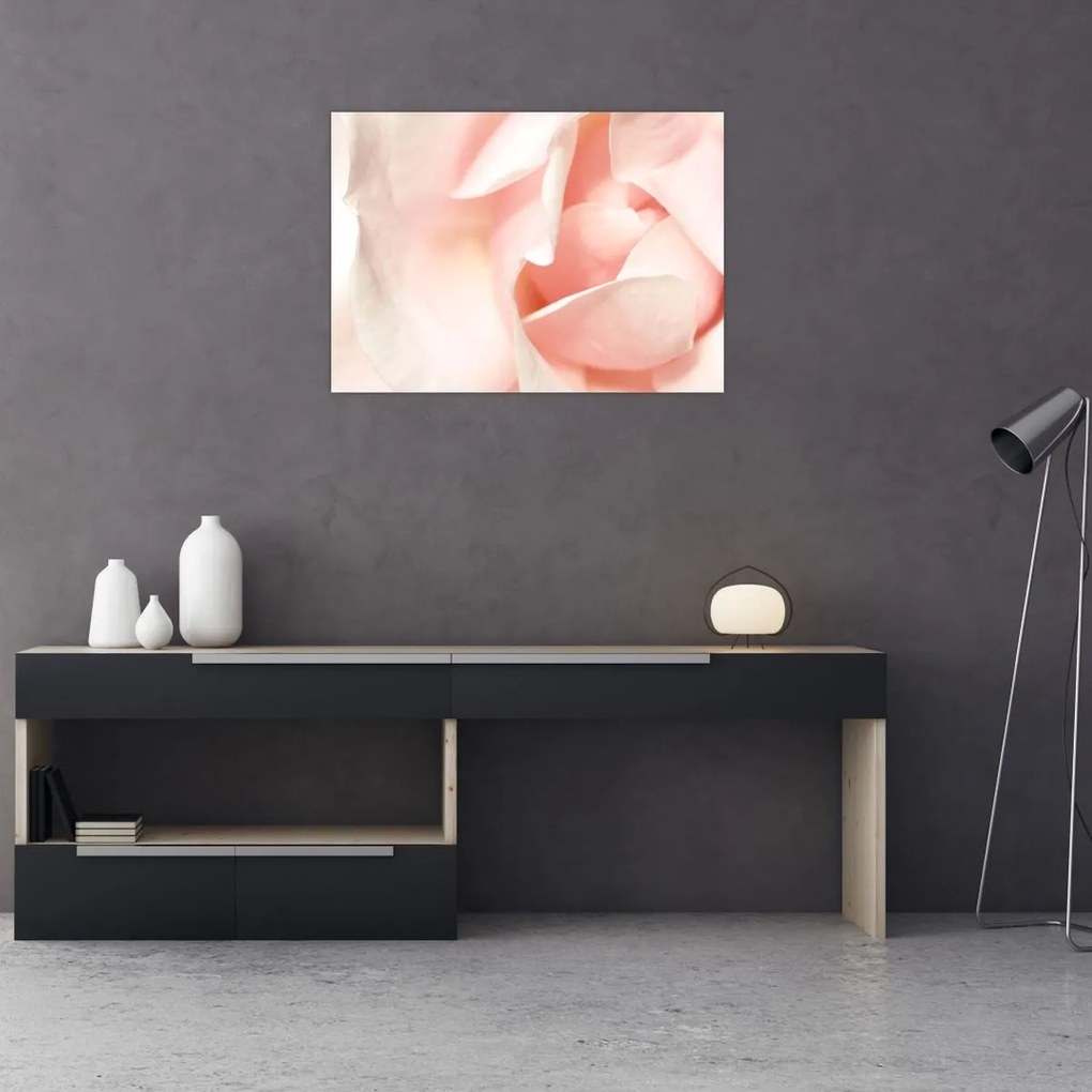 Obraz - Róża (70x50 cm)