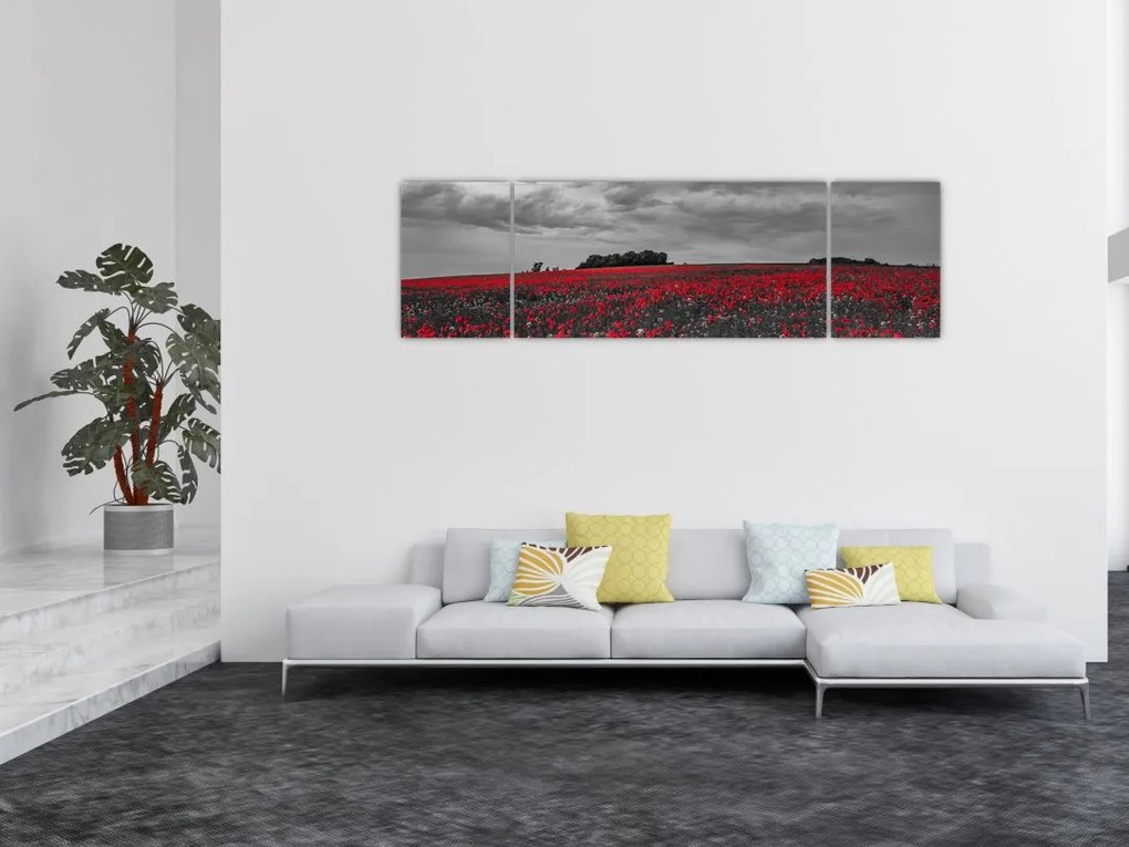 Obraz maków (170x50 cm)
