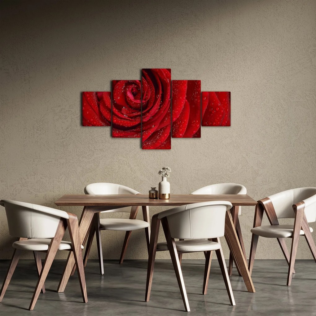 Obraz - szczegół róży (125x70 cm)