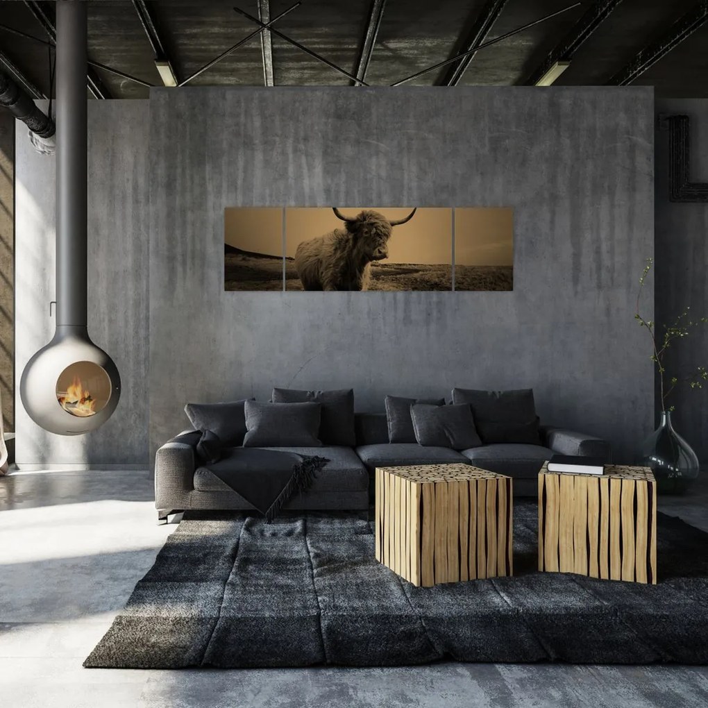 Obraz - Szkocka krowa na wolności (170x50 cm)