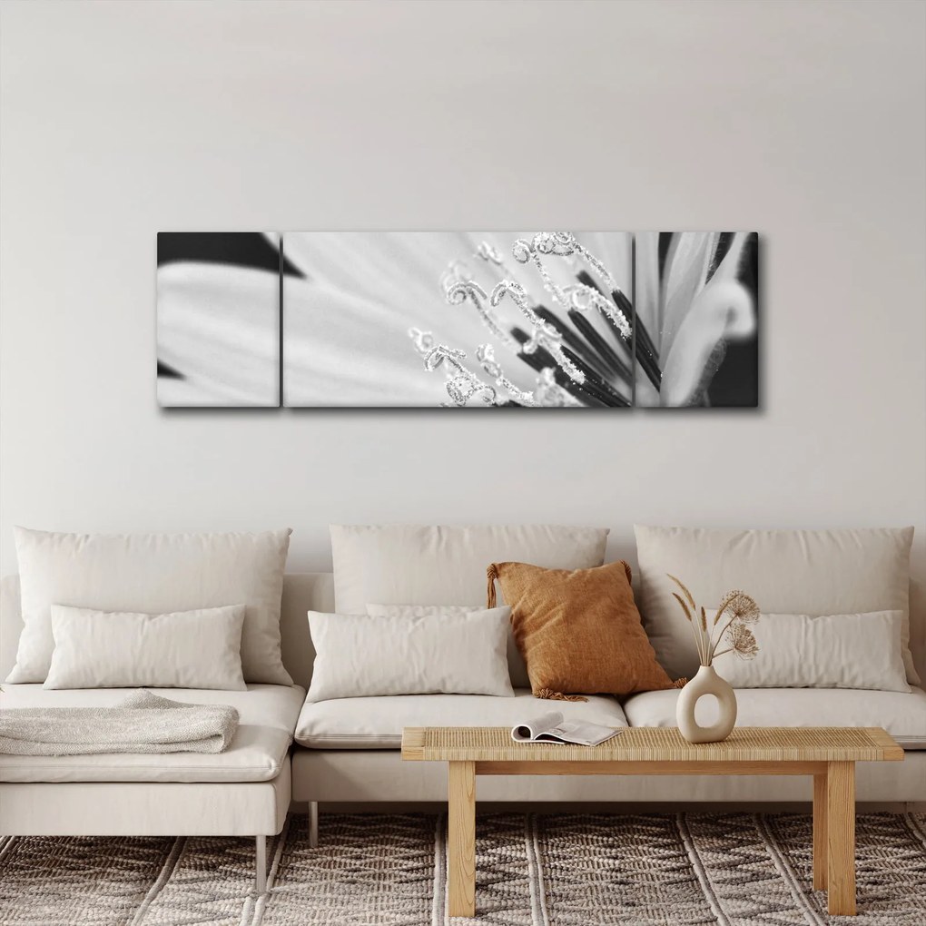 Obraz - Czarno-biały kwiat (170x50 cm)