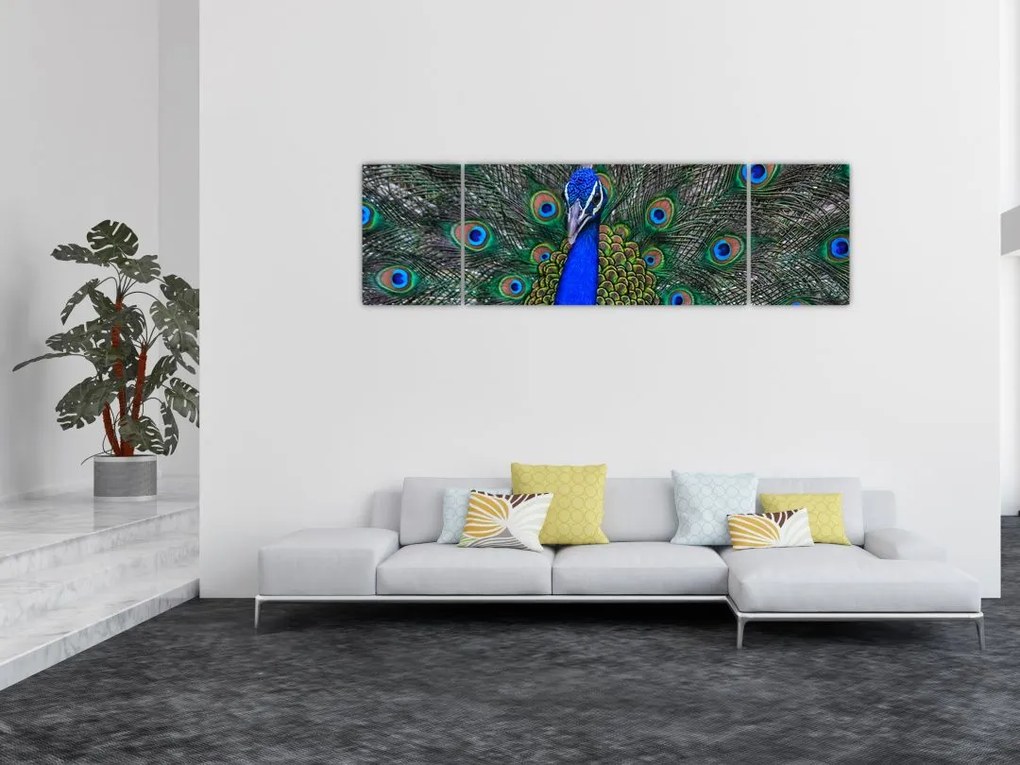 Obraz - Paw (170x50 cm)