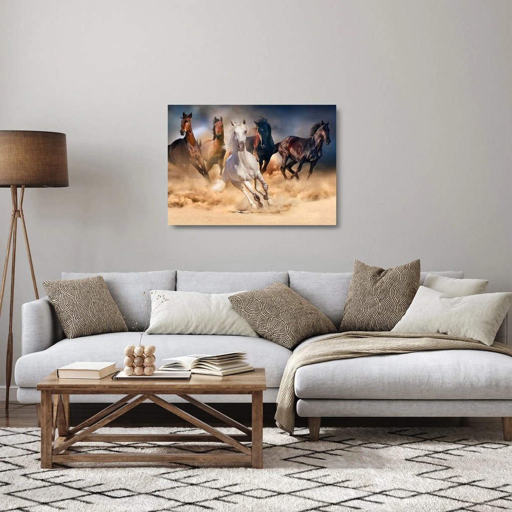 Obraz na szkle - Konie na pustyni (70x50 cm)