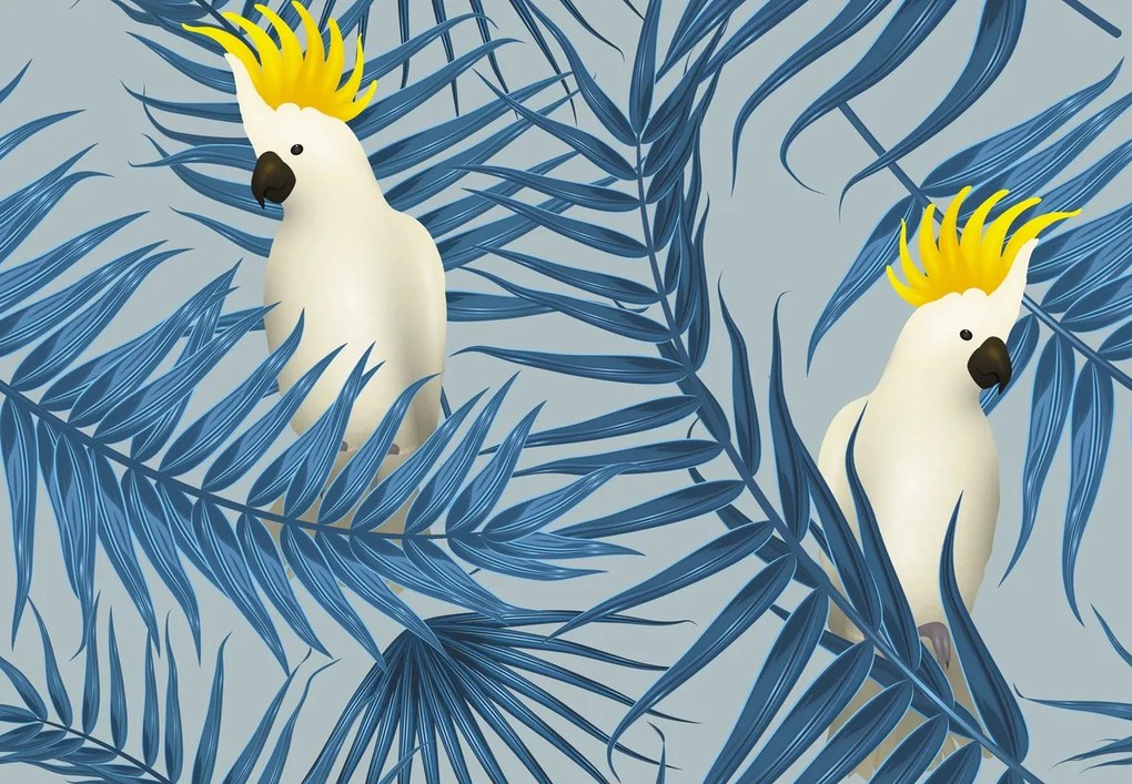 Fototapeta - Papugi, szara (196x136 cm)