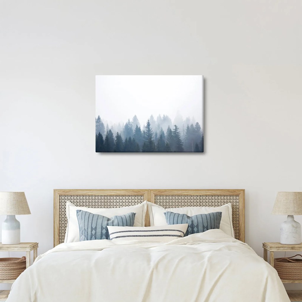 Obraz - Mglisty las (70x50 cm)