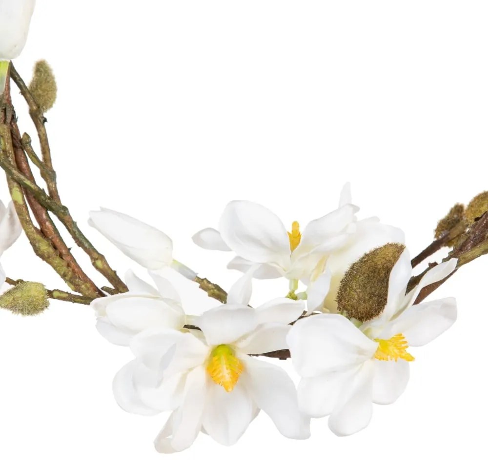 Wieniec Magnolia – Ixia