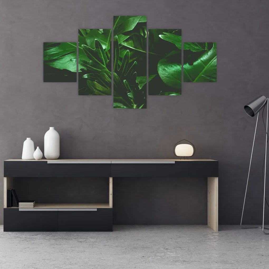 Obraz - Liście palmowe (125x70 cm)