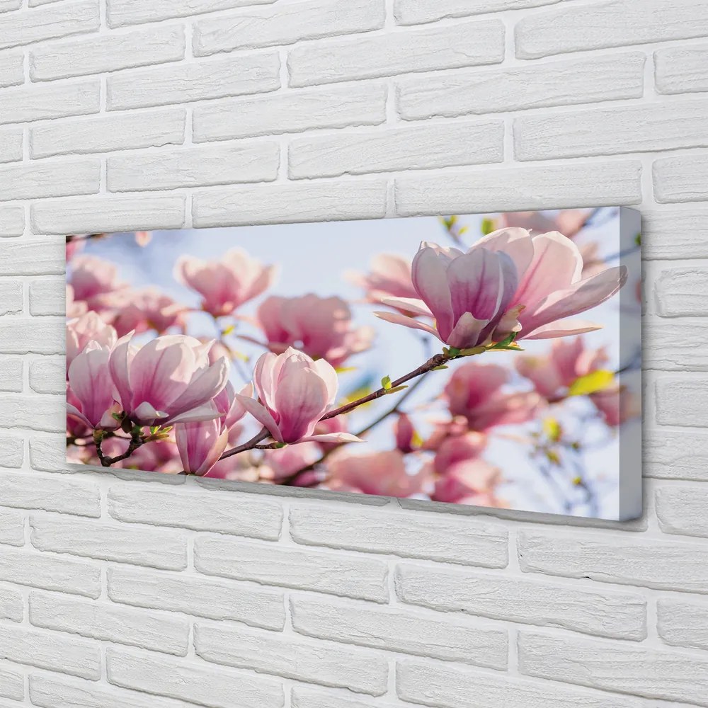 Duży obraz na płótnie Magnolia