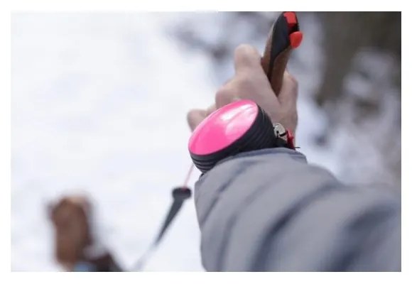 Różowa smycz w rozmiarze XS 3 Neon – Lishinu