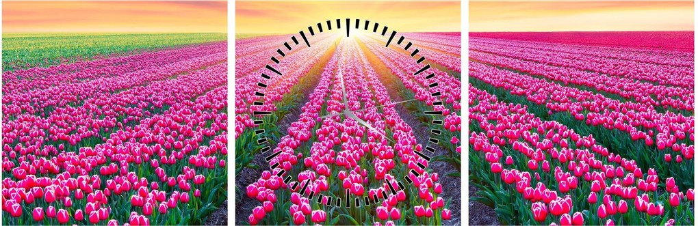 Obraz pole tulipanów ze słońcem (z zegarem) (90x30 cm)