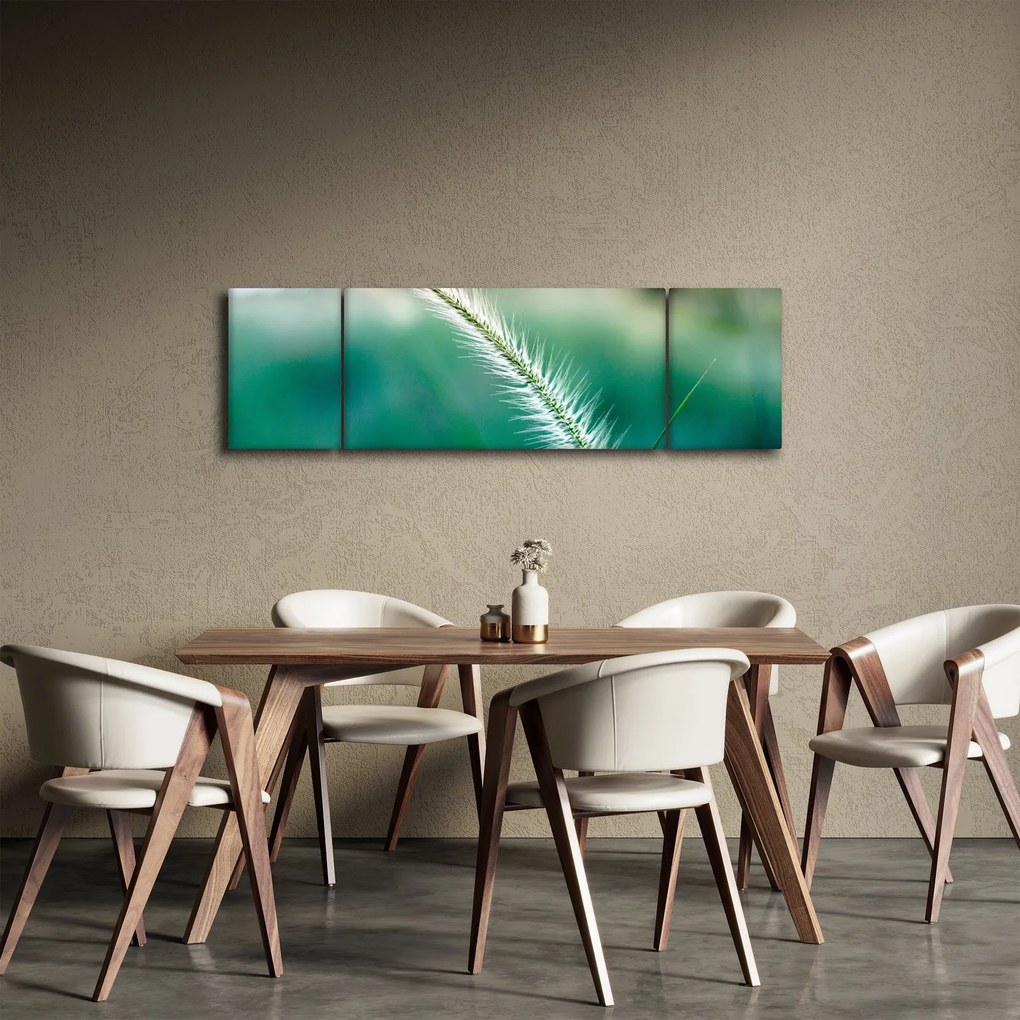 Obraz źdźbła trawy (170x50 cm)