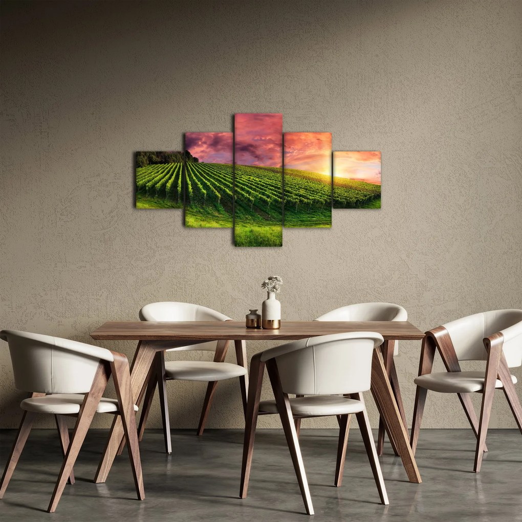 Obraz winnicy z kolorowym niebem (125x70 cm)