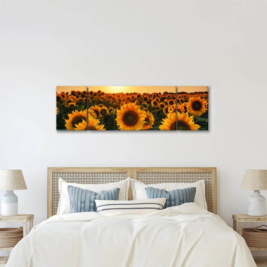 Obraz - Słonecznik (170x50 cm)