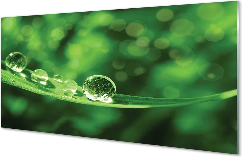 Szklany Panel Rosa w Przybliżeniu