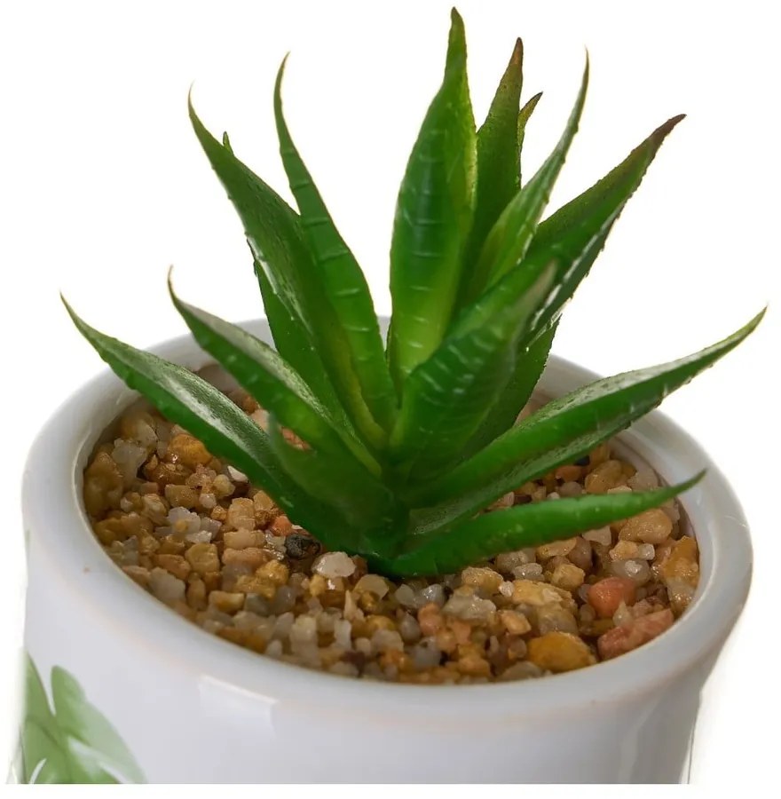Sztuczne kwiaty zestaw 4 szt. Cactus – Casa Selección