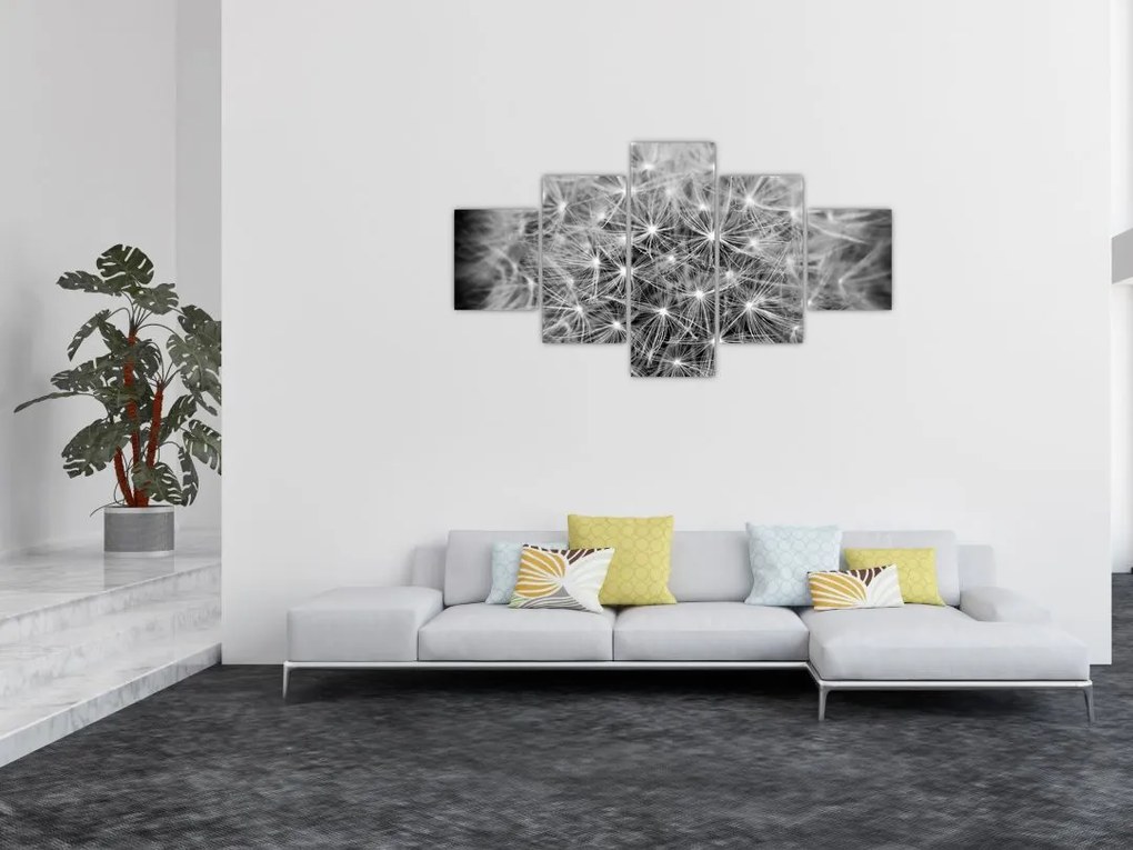 Obraz szarego dmuchawca (125x70 cm)