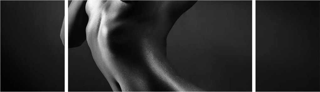 Obraz - Nagie kobiety (170x50 cm)
