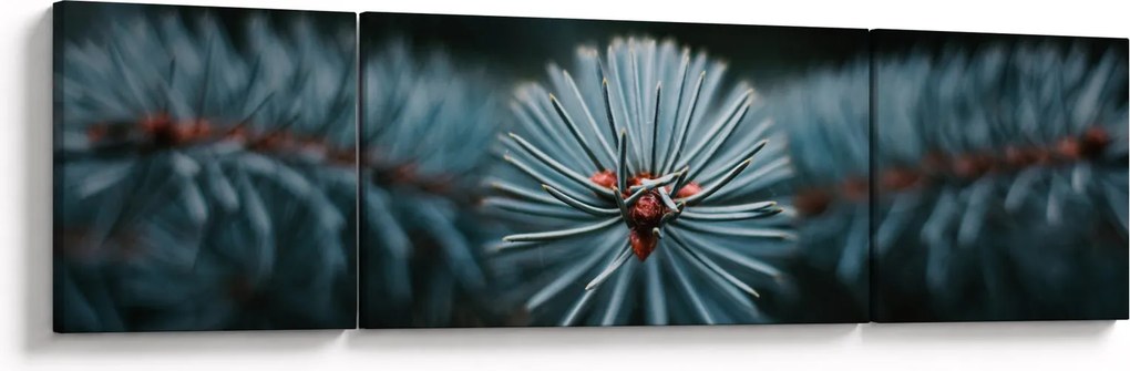 Obraz gałązki drzewa iglastego (170x50 cm)