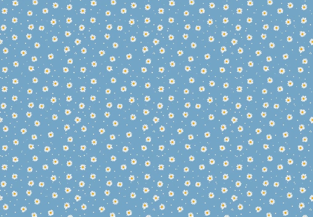 Fototapeta - Stokrotki (196x136 cm)