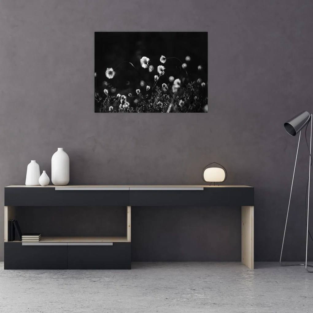 Obraz - Łąka z trawą bawełnianą N⁰1 (70x50 cm)
