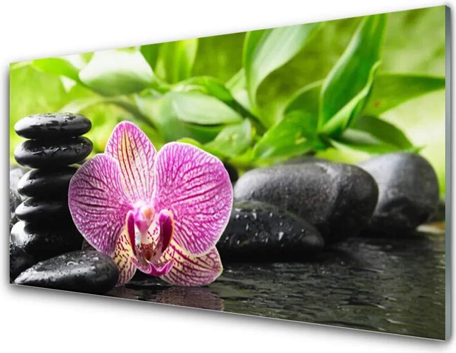 Panel Szklany do Kuchni Harmonijne Połączenie Zen