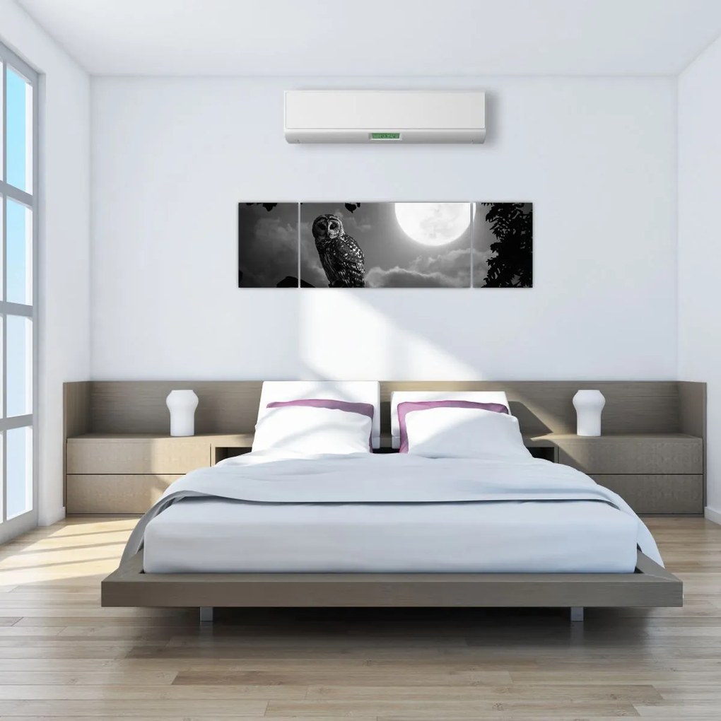 Obraz - Nocna sowa, czarno-biały (170x50 cm)