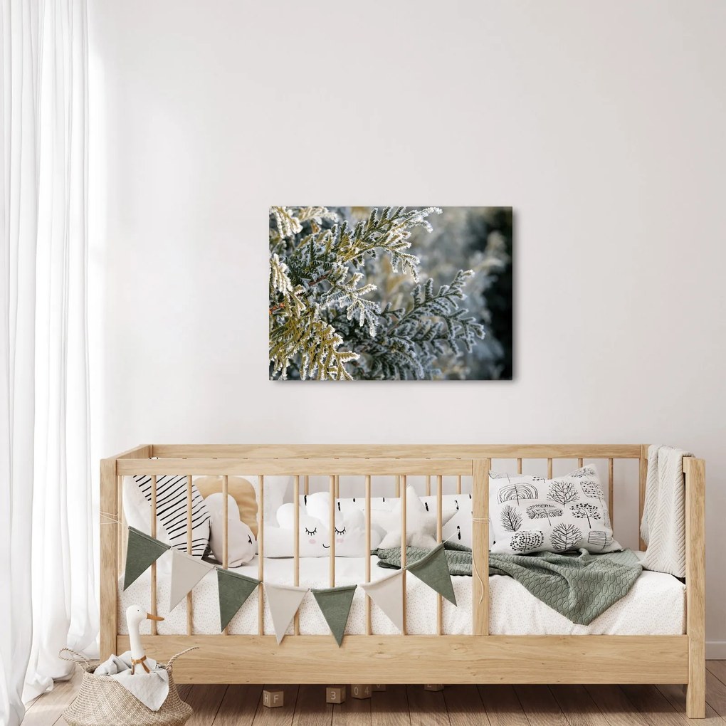Obraz - Detal gałęzi (70x50 cm)