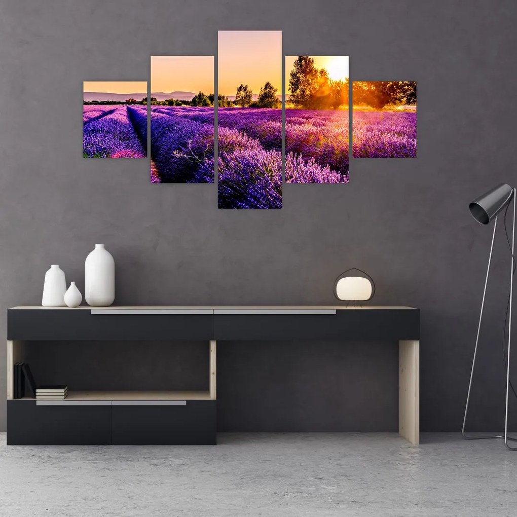 Obraz lawendowego pola (125x70 cm)
