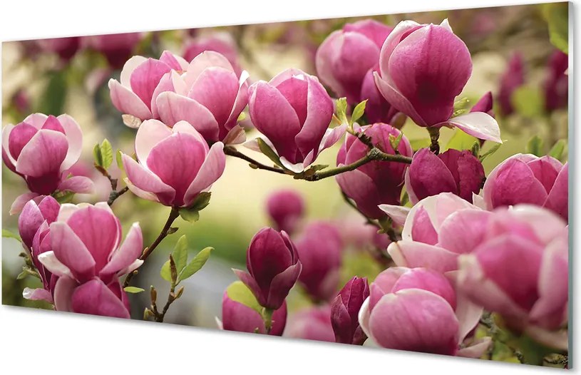 Panel Kuchenny Szklany Kwitnące Drzewa Owocowe