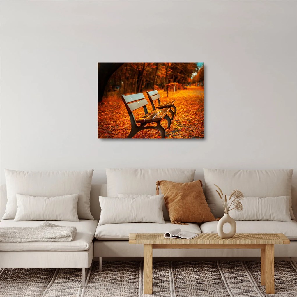 Obraz na szkle - ławka jesienią (70x50 cm)