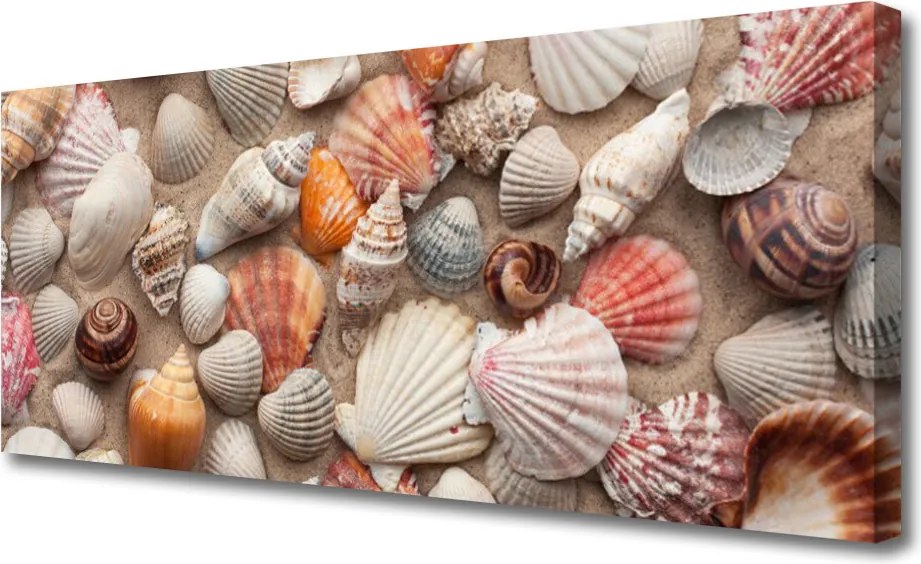 Obraz canvas Skarby Morza na Piasku