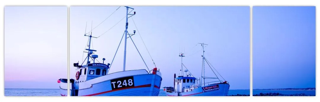 Obraz - Lądowanie o zmierzchu (170x50 cm)
