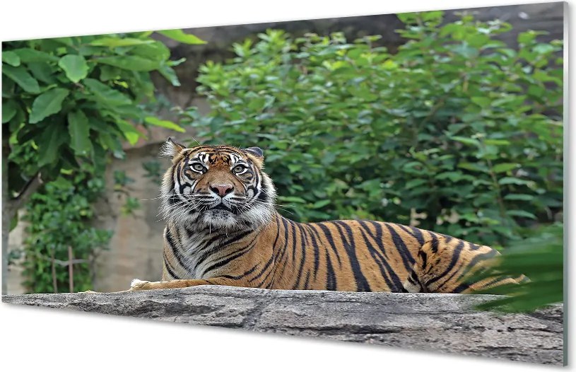 Szklany Panel Tygrys w Sercu Lasu