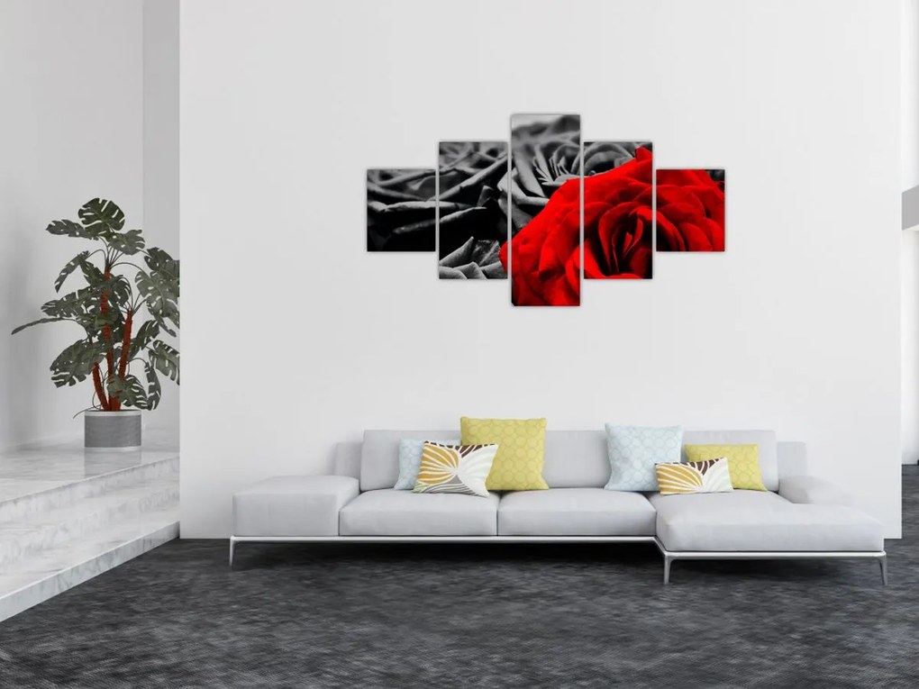 Obraz - Róże (125x70 cm)