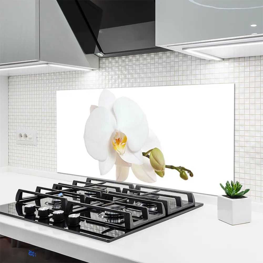 Panel Szklany do Kuchni Subtelny Akcent Botaniczny