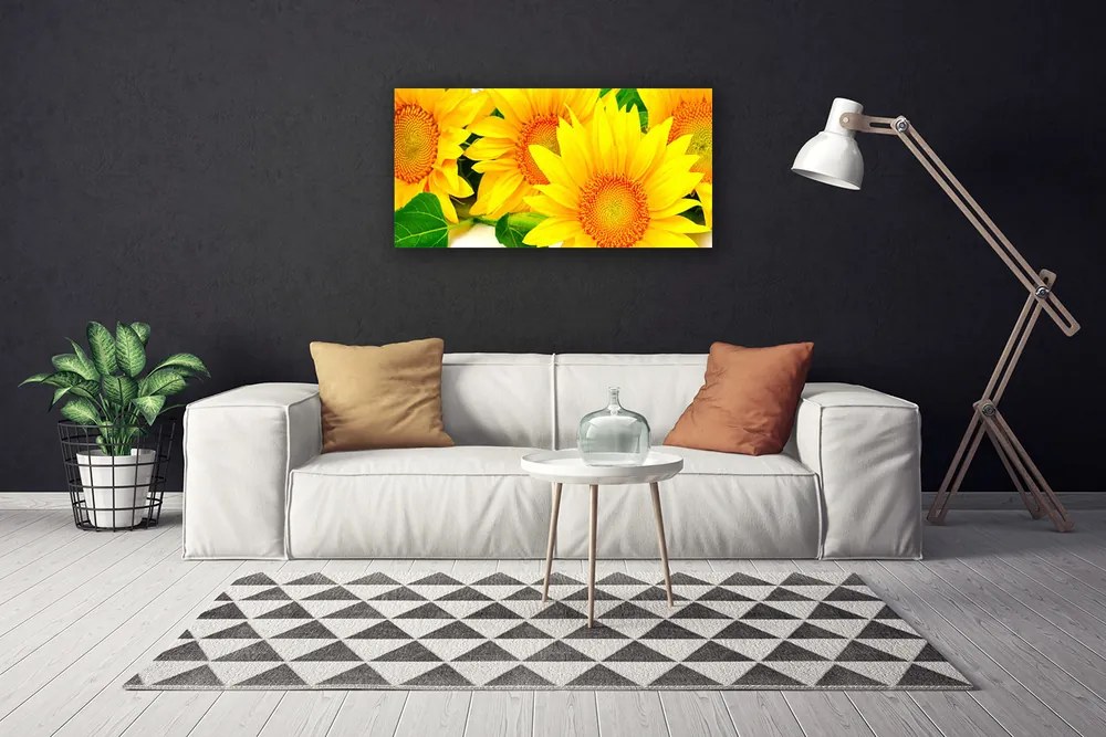 Obraz Canvas Słonecznik Kwiat Natura