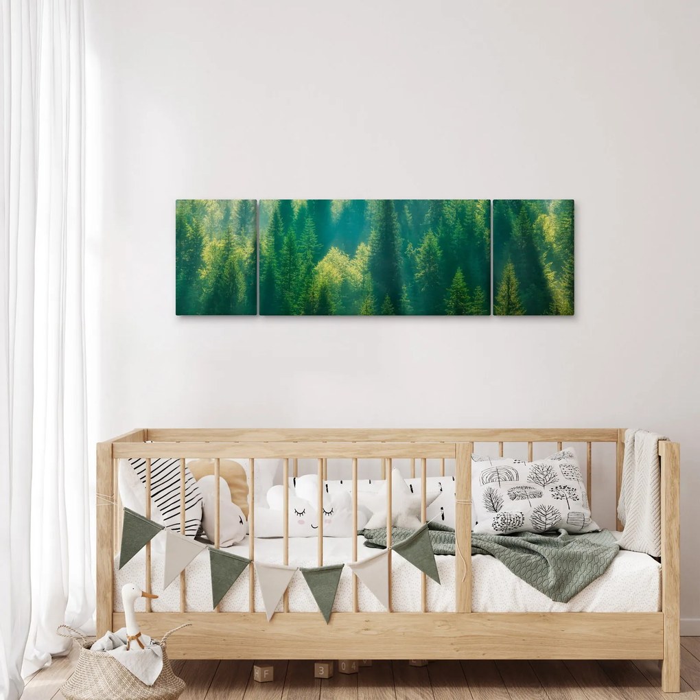 Obraz - Las sosnowy (170x50 cm)