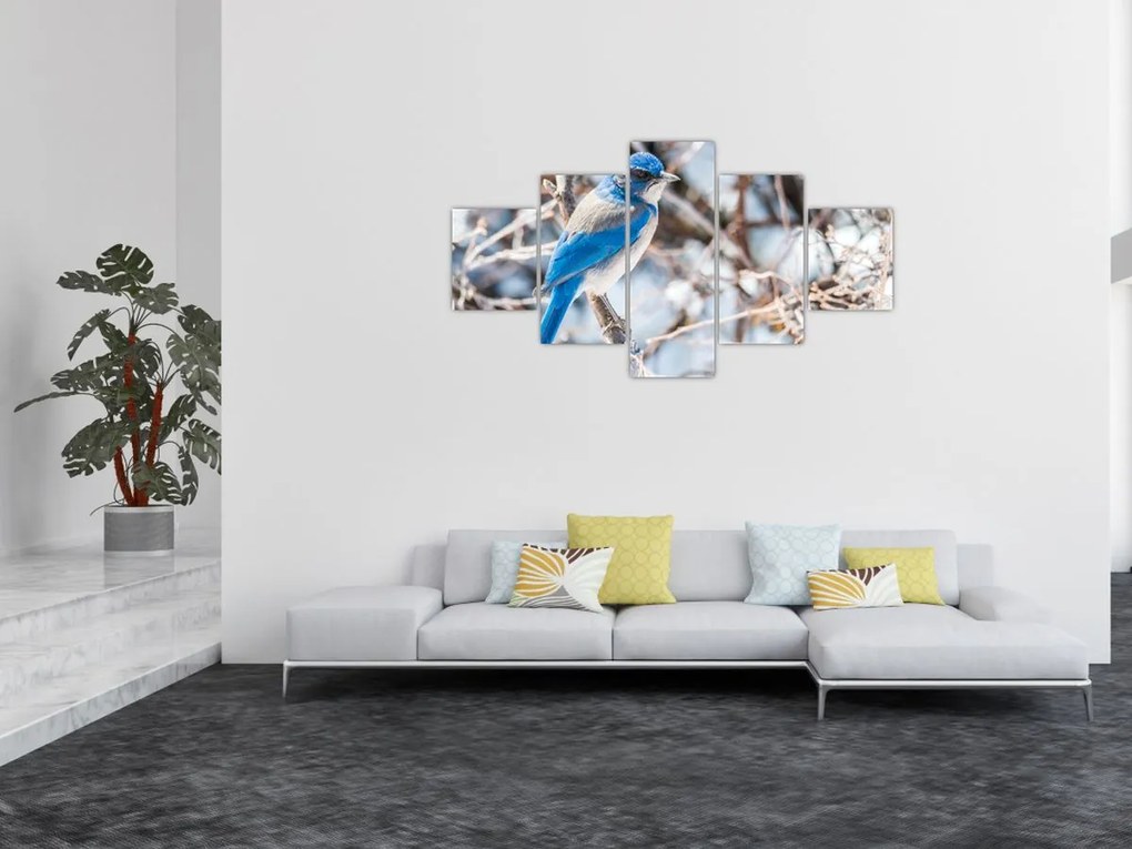 Obraz - Zimowy ptaszek (125x70 cm)