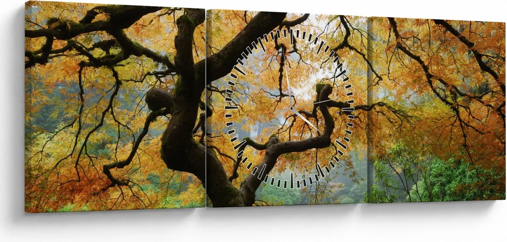 Obraz żółtego klonu japońskiego, Portland, Oregon (z zegarem) (90x30 cm)