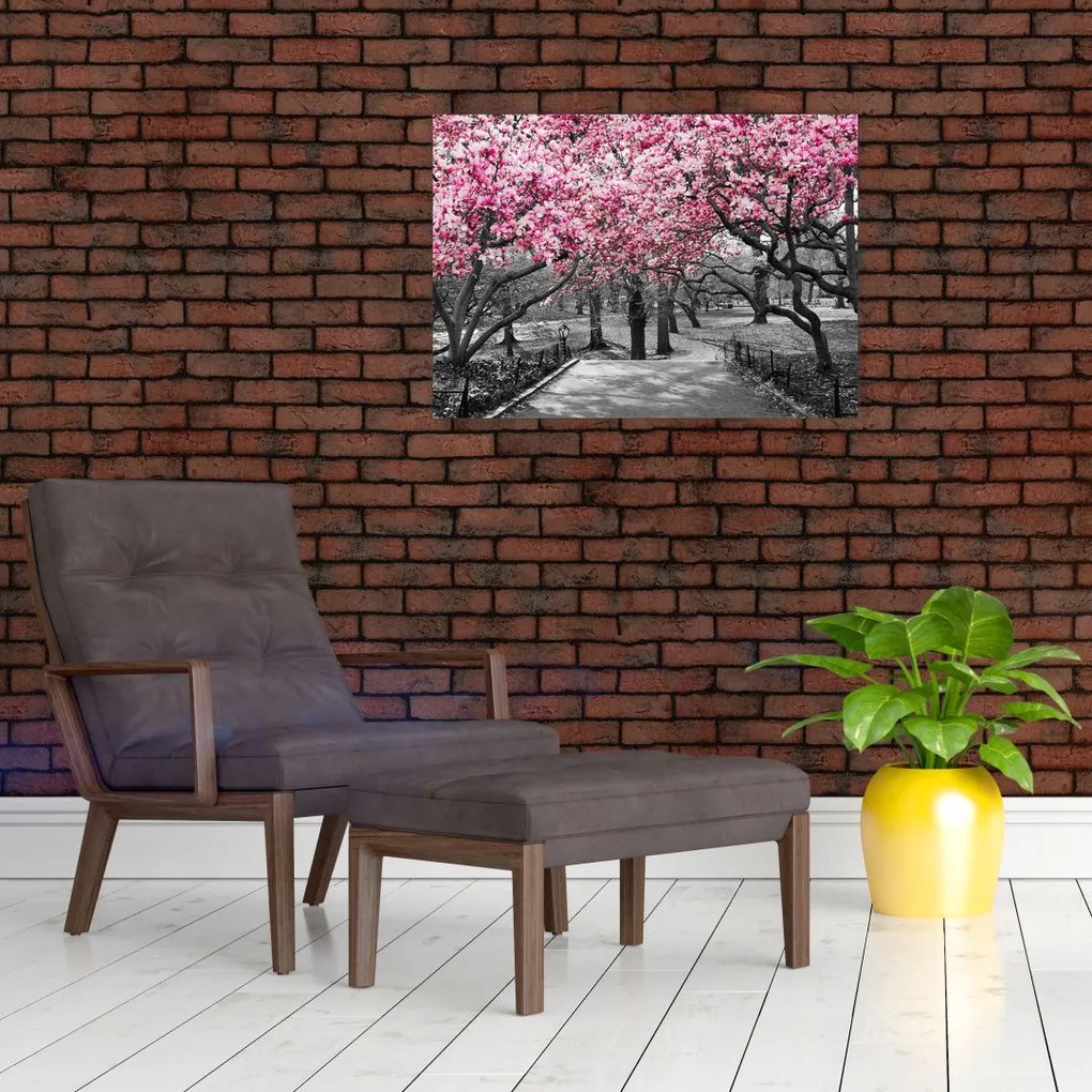 Obraz drzew magnolii (70x50 cm)