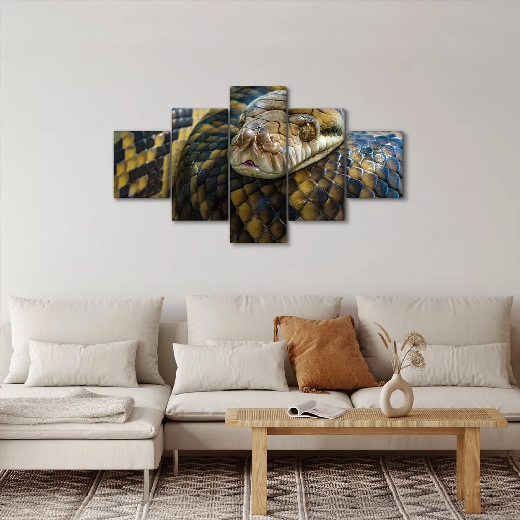 Obraz - Pyton (125x70 cm)
