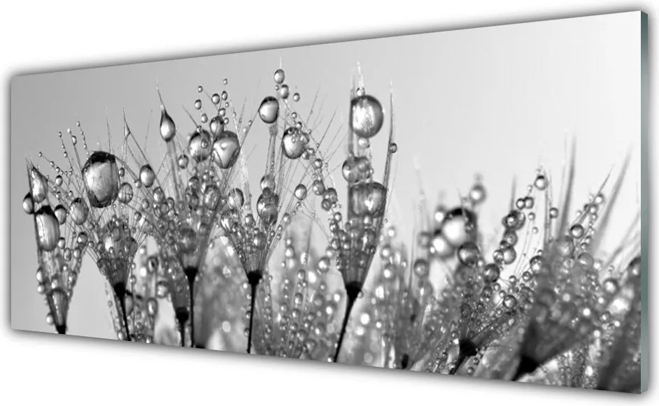 Panel Szklany Botaniczna Forma Abstrakcyjna