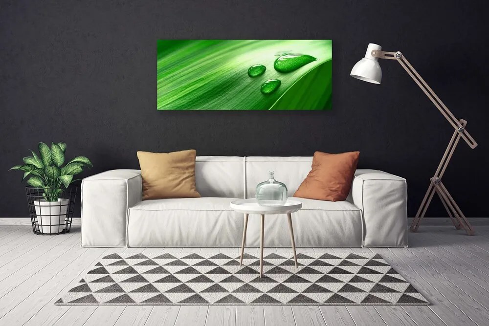 Duży obraz na płótnie Perlista Rosa na Liściu