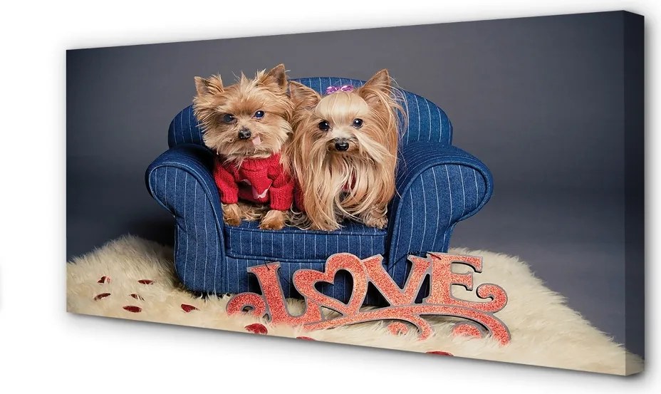 Duży obraz na płótnie Urocze Yorki