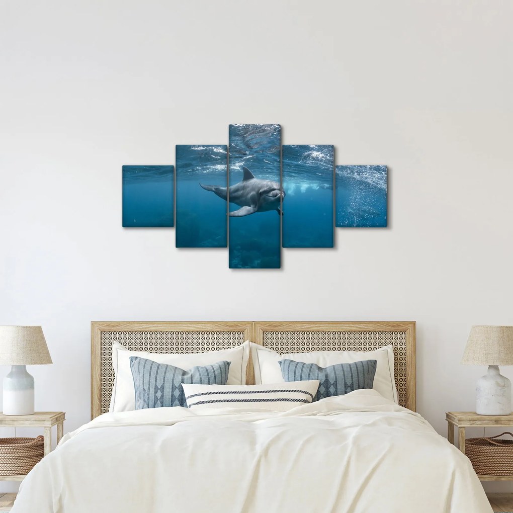 Obraz - Delfin pod wodą (125x70 cm)