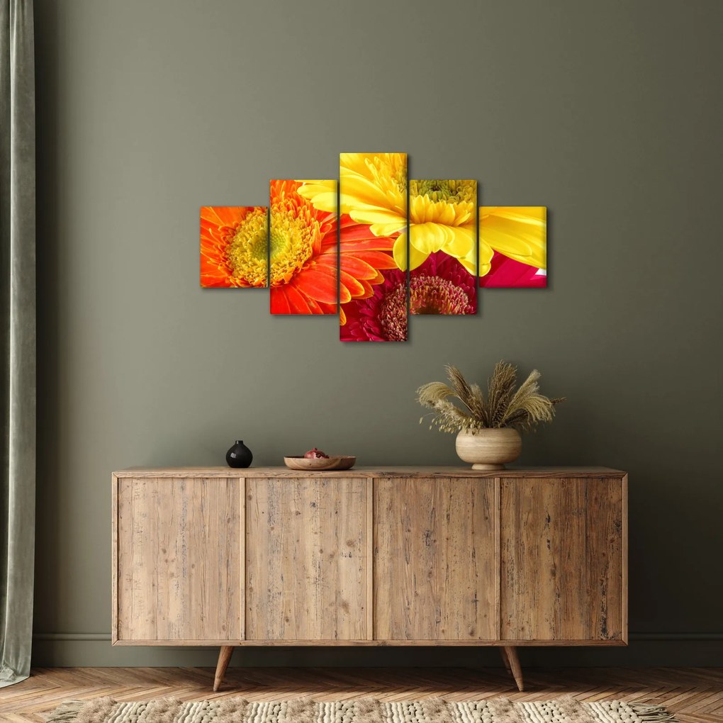 Obraz - Kwiaty Gerbery (125x70 cm)