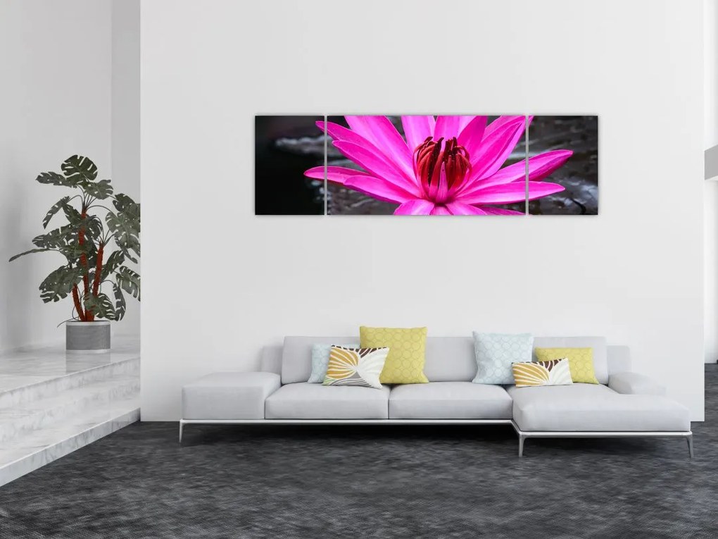 Obraz - różowy kwiat (170x50 cm)