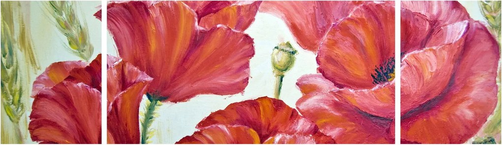 Obraz - Kwiaty maku (170x50 cm)